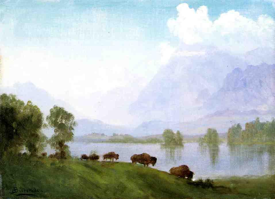 Albert Bierstadt Buffalo Country
